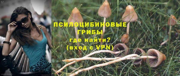 шишки Абинск