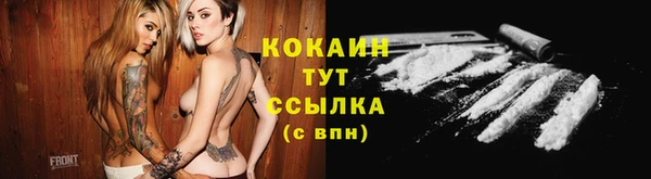 шишки Абинск