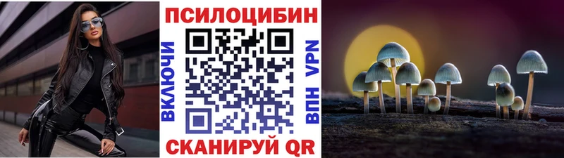 Галлюциногенные грибы Psilocybine cubensis  закладка  Шимановск 