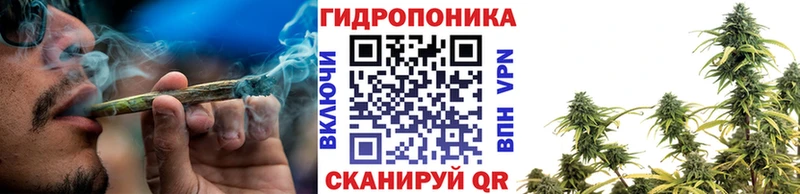Шишки марихуана марихуана Шимановск