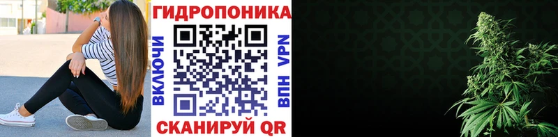наркошоп  Шимановск  Бошки марихуана OG Kush 